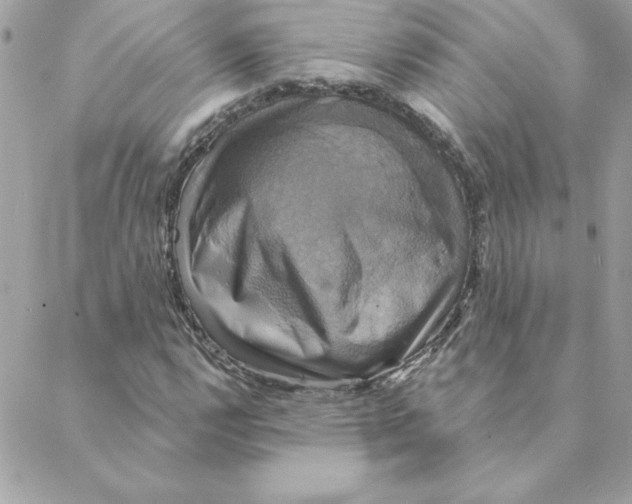 X0000088201112200706051225