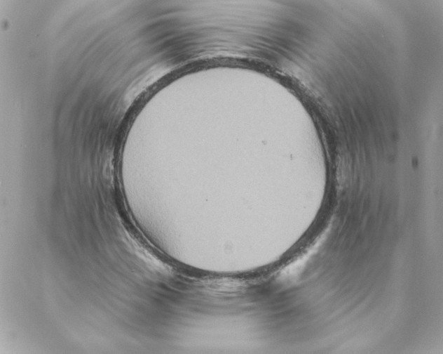 X0000088201113200706051225