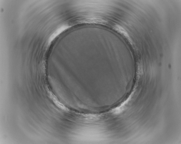 X0000088201114200706051225