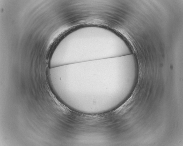 X0000088201115200706051225