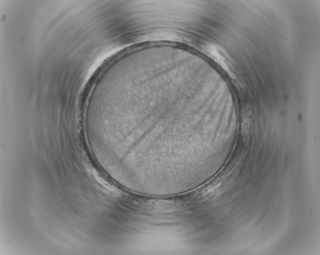 X0000088201116200706051225