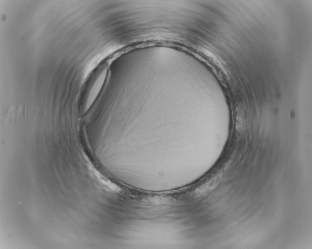 X0000088201117200706051225