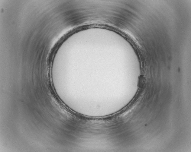 X0000088201118200706051225