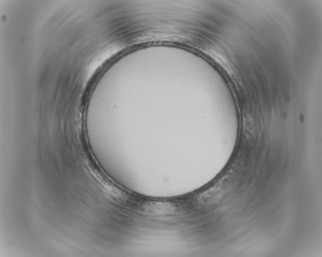 X0000088201119200706051225