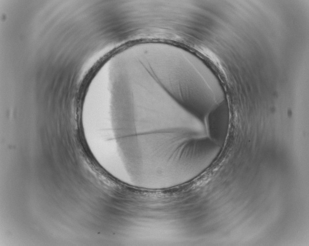 X0000088201120200706051225