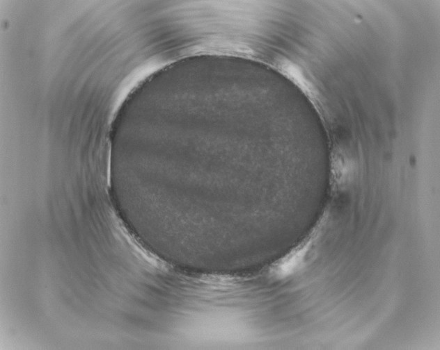 X0000088201123200706051225