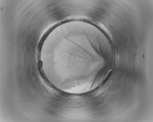 X0000088201124200706051225