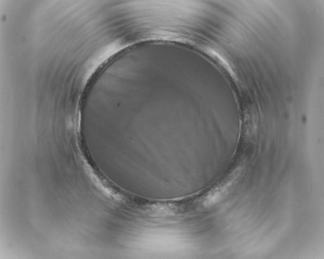 X0000088201125200706051225