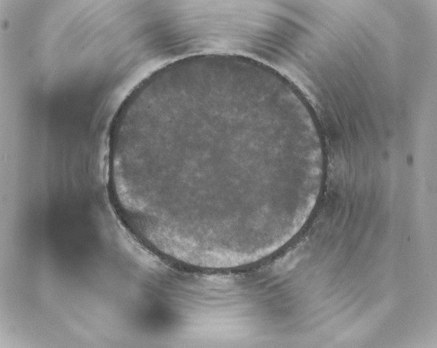 X0000088201126200706051225