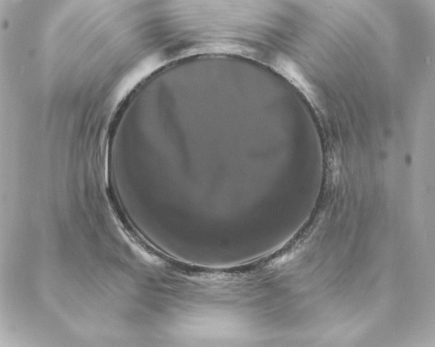 X0000088201127200706051225