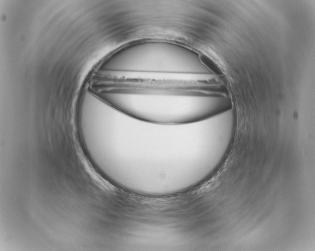 X0000088201128200706051225