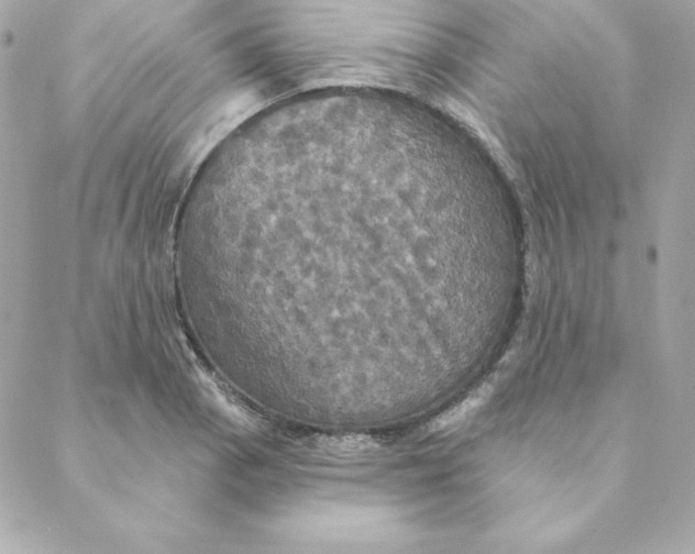 X0000088201129200706051225