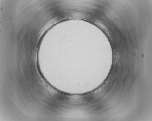 X0000088201130200706051225