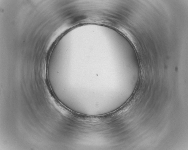 X0000088201131200706051225