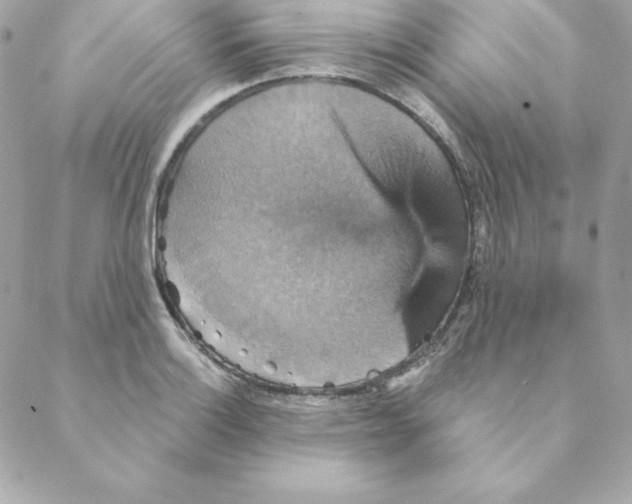 X0000088201132200706051225