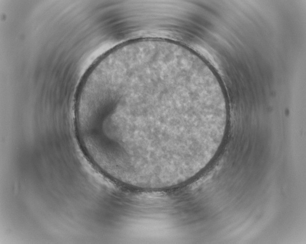 X0000088201133200706051225