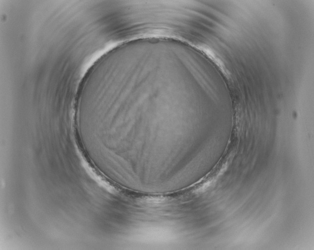 X0000088201134200706051225