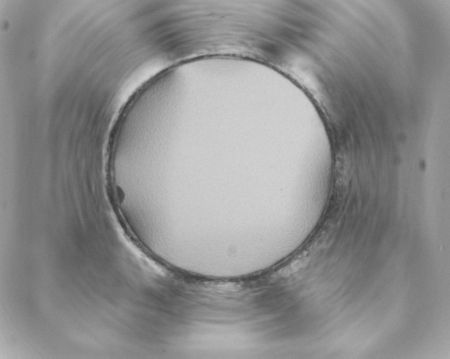 X0000088201135200706051225