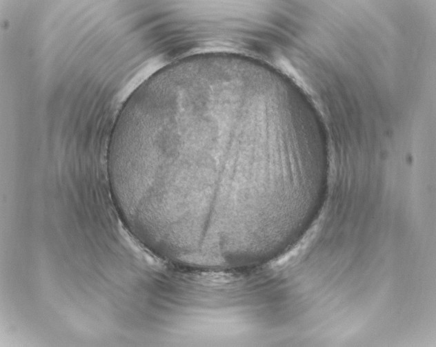 X0000088201137200706051225