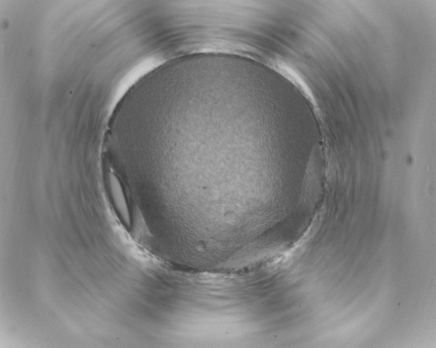 X0000088201138200706051225