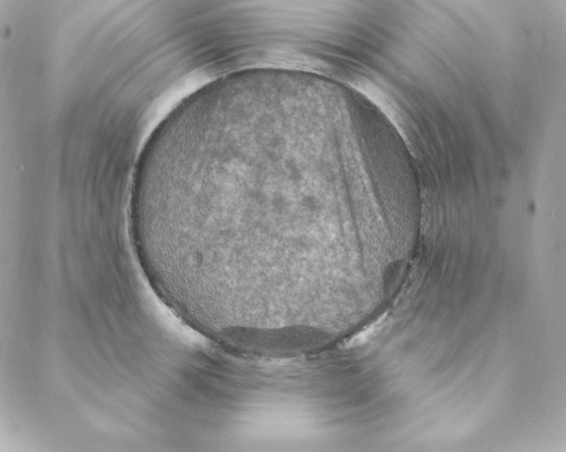 X0000088201139200706051225