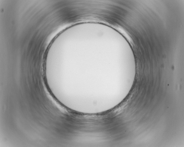 X0000088201142200706051225