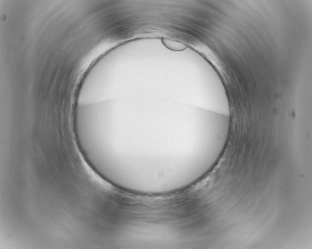 X0000088201143200706051225