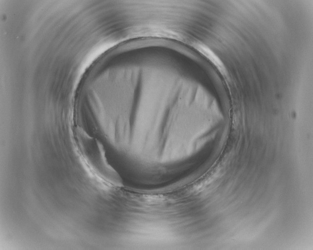 X0000088201144200706051225