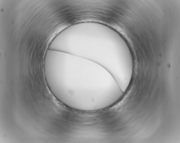 X0000088201145200706051225