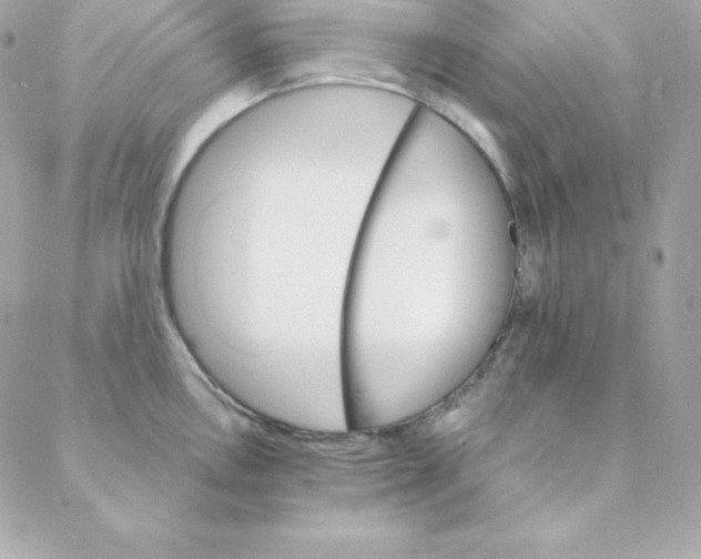 X0000088201146200706051225