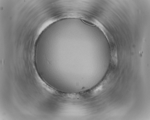 X0000088201147200706051225