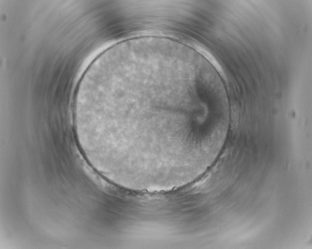 X0000088201148200706051225