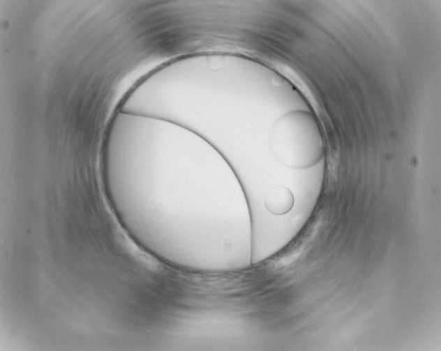 X0000088201149200706051225