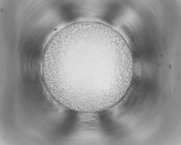 X0000088201150200706051225