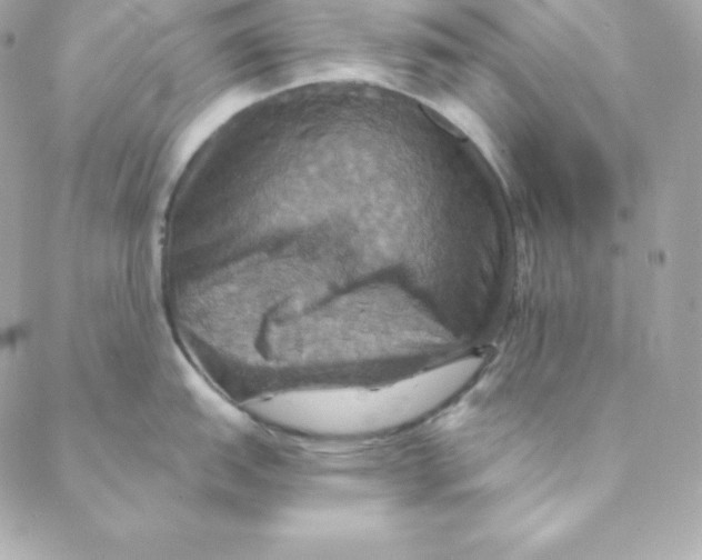 X0000088201151200706051225