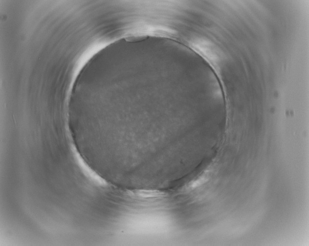 X0000088201152200706051225