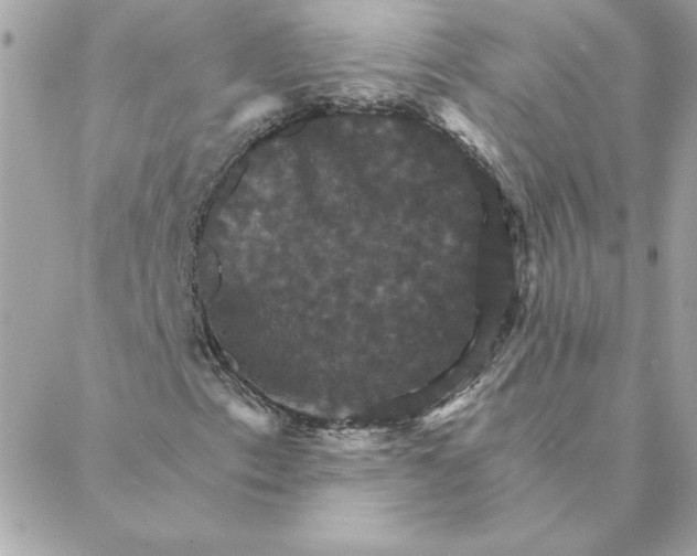 X0000088201153200706051225