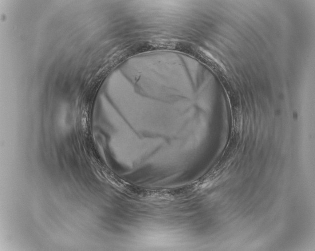 X0000088201154200706051225