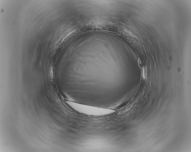 X0000088201155200706051225