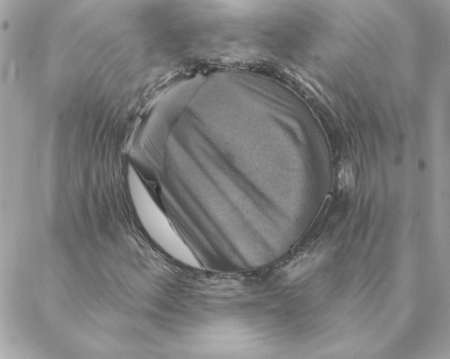 X0000088201156200706051225