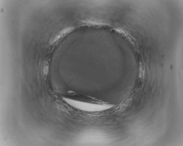 X0000088201157200706051225