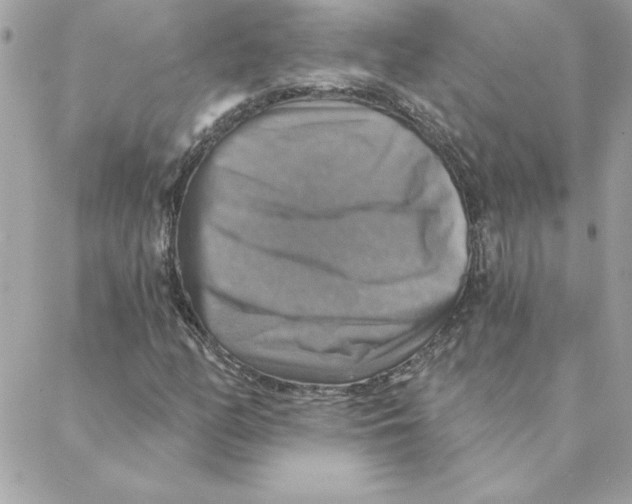 X0000088201158200706051224