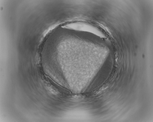 X0000088201160200706051224