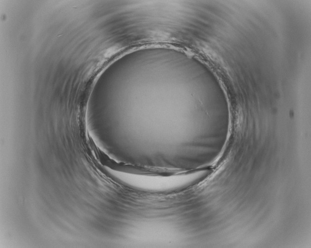 X0000088201161200706051224