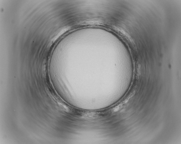 X0000088201162200706051224