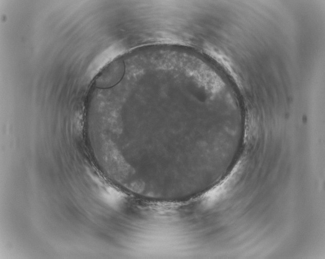 X0000088201163200706051224