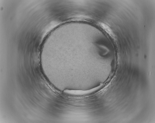 X0000088201164200706051224