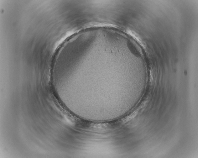 X0000088201165200706051224