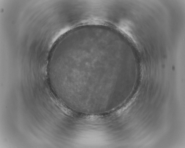 X0000088201166200706051224