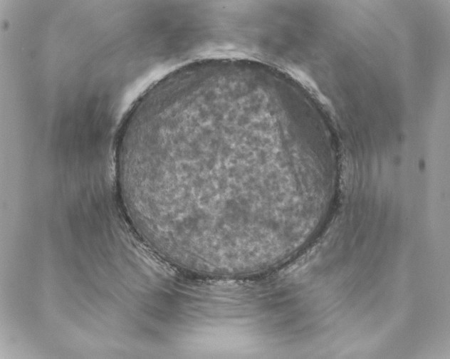 X0000088201167200706051224